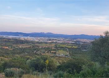 Agricultural Field for Sale in Olbia
